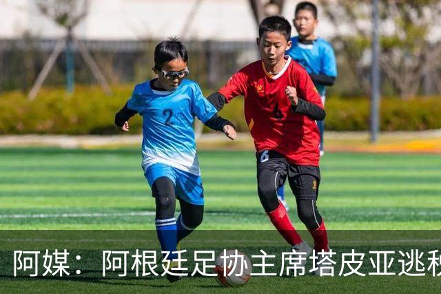 阿媒：阿根廷足协主席塔皮亚逃税上诉被驳回，确认将被起诉